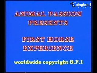 Bfi First Horse Experience [animal Passion] animal porn