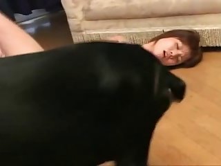 Then Tits Bouncing Girl Spun Back To The Dog