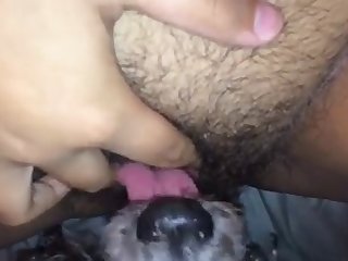 99747 Dog Eating Out Hairy Pussy