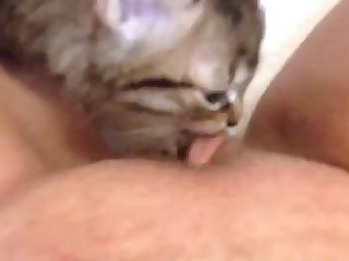 96341 Kitten Licking Coconut Oil Off My Clit And Pussy Lips 3