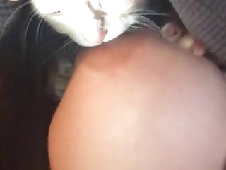 My Cat Loves Sucking On My Nipples