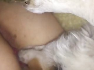 Teen Asshole Licked While Asleep