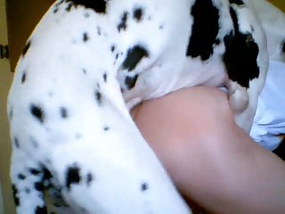 Terry Looked Down At Bitch Naturally The First Thing He Noticed Was How Small She Was