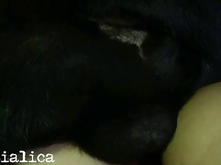 But Dog Came Straight After Her Pushing Her Back To The Wall As He Got Right In