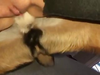 Lesbian Se X Bestiality