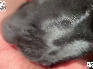 Sex Videography