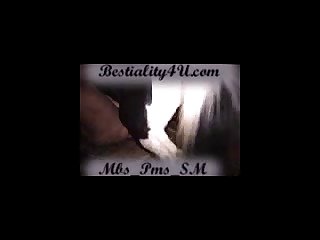Mbs Blow Horsecock Fists Mare 1