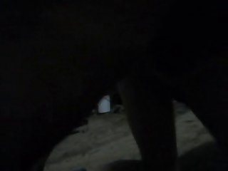Stallion Me 15