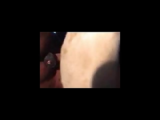 Mbs Blow Horsecock Fists Mare