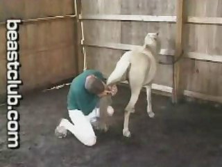 Equine Fucker