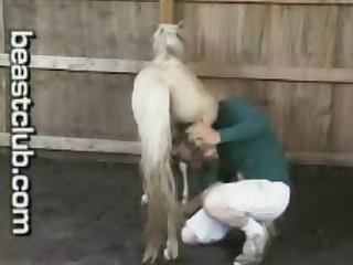 Equine Fucker