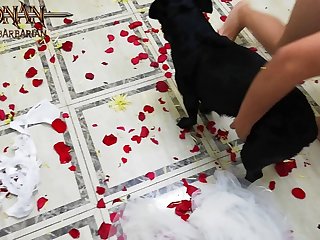 Newsensations Animal Zoo