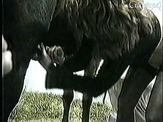 Sexually Broken Videos