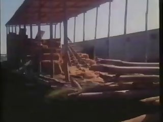 Sexo Ver