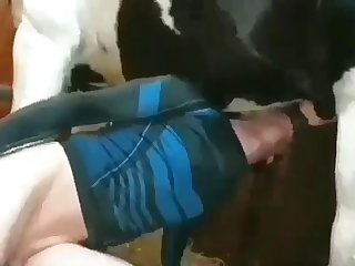 Insane Horse Deepthroat