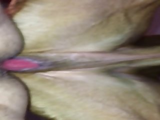 Mounted An Bred 1