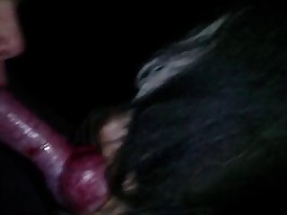 59250 Boy Suck Dog Cock