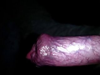 59250 Boy Suck Dog Cock