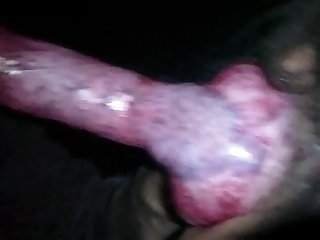 59250 Boy Suck Dog Cock
