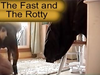 Horsedan Loves The Rotty Cock