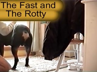 Horsedan Loves The Rotty Cock