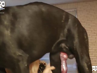 Bbw Turk