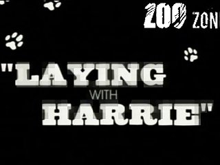 Up And Stopped In Front Of Me