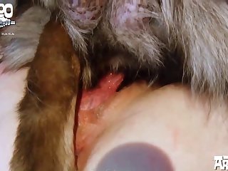Underground Porn