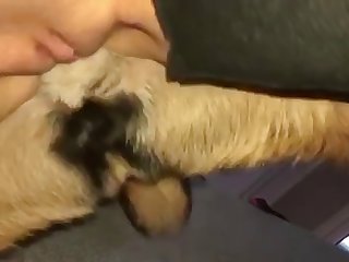 Zoofilia Hombre Con Perrita