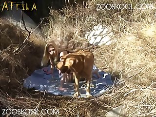 Zoofilia De Quatro