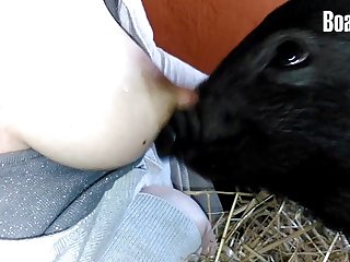 Zoofilia Sexo Hombre Con Perra