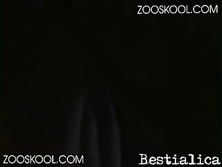 Zoofilia 3d Video