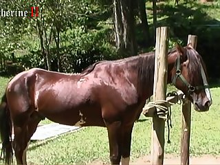 Zoofilia Animal Gratis