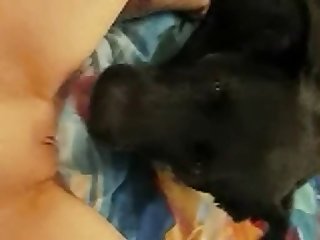 Zoofilia Homen Com Cadela