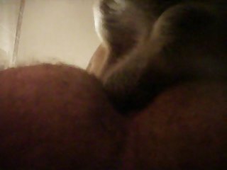 Extreme Forced Bi Porn