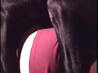 Extreme Sissification Porn