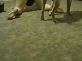 Extreme Hardcore Romantic Porn