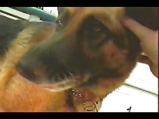 Extreme Cuckold Porn Videos