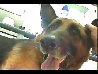 Extreme Cuckold Porn Videos