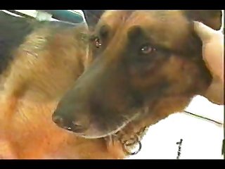 Extreme Cuckold Porn Videos