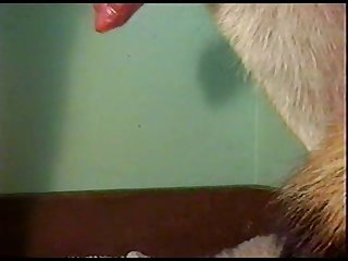 Extreme Rough Face Slapping Porn