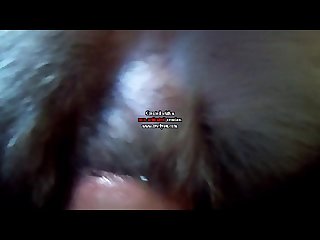 Fnaf Extreme Porn