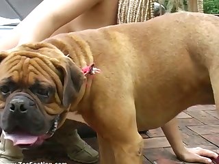 Butt Plug Extreme Porn