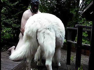 Sauna Extreme Big Tit Porn
