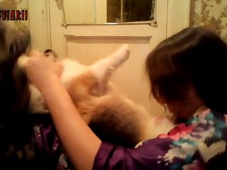 Extreme Sex Porn Vids