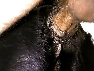 Extreme Hairy Lesbian Porn