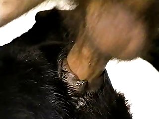 Extreme Hairy Lesbian Porn