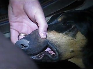 Lesbian Extreme Rough Porn
