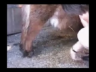 Extreme Hentai Rape Porn