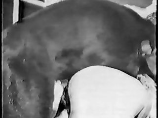 Extreme Thrusting Porn